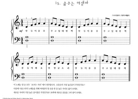 Tanz der wilden Pferde